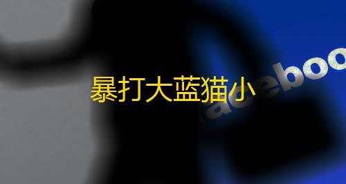 挂 锁头 透视 锁血暴打大蓝猫小